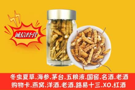日喀则拉孜县回收散虫草